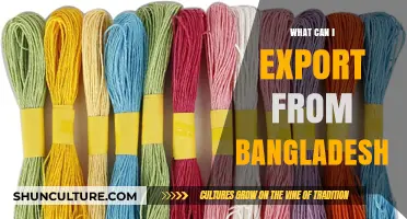 Top Bangladeshi Export Products: Opportunities and Global Market Potential