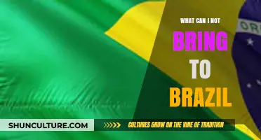 Prohibited Items: What You Can't Bring to Brazil When Traveling