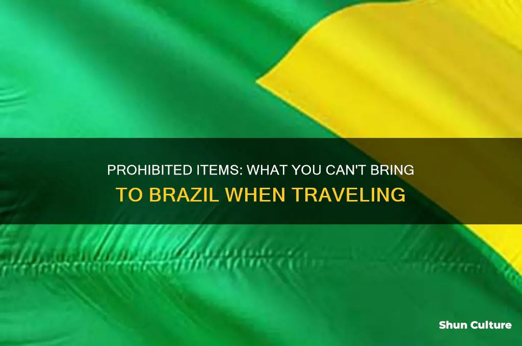 what can I not bring to brazil