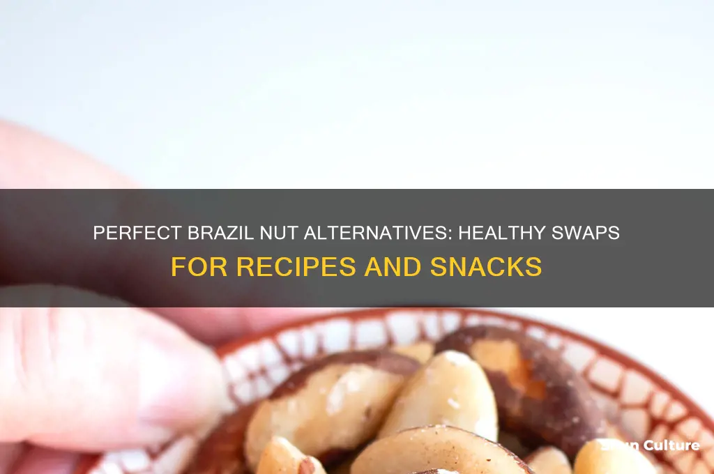 what can I use to substitute for brazil nuts