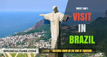 Discover Brazil's Must-See Destinations: Beaches, Culture, and Nature