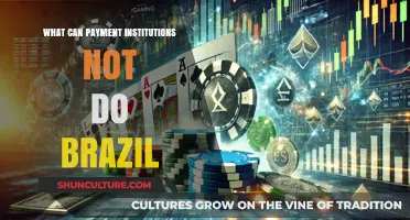 Brazil's Payment Institutions: Prohibited Activities and Regulatory Limitations
