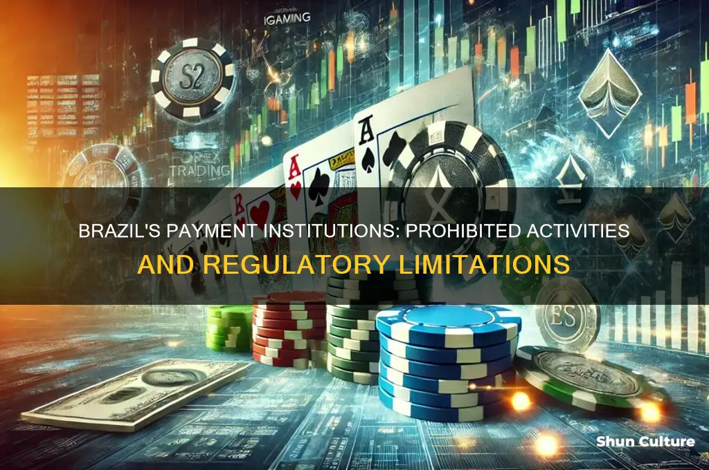 what can payment institutions not do brazil