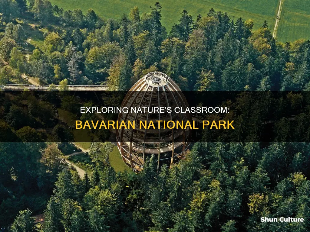 what can people learn in the bavarian national park