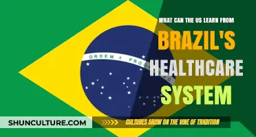 Brazil's Healthcare Lessons: Insights for US System Improvement