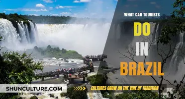 Exploring Brazil: Top Tourist Activities and Must-See Attractions