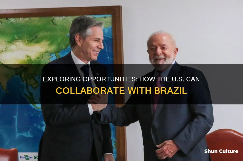 what can us do brazil