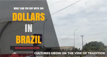 Exploring Brazil: Affordable Finds and Experiences Under $100