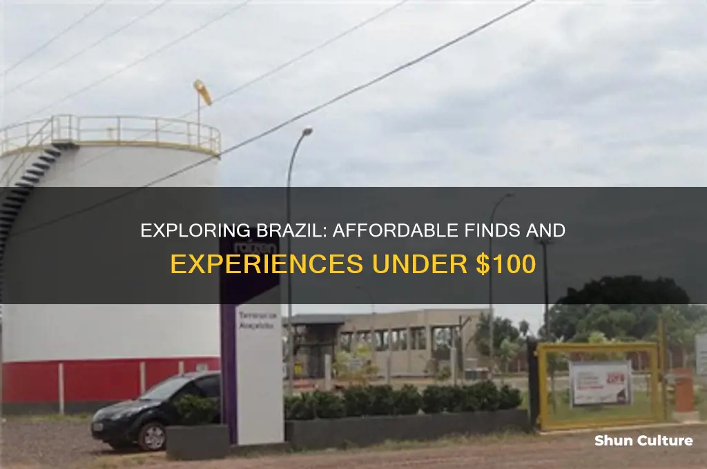 what can you buy with 100 dollars in brazil