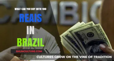 Exploring Brazil: Affordable Finds and Essentials for 100 Reais