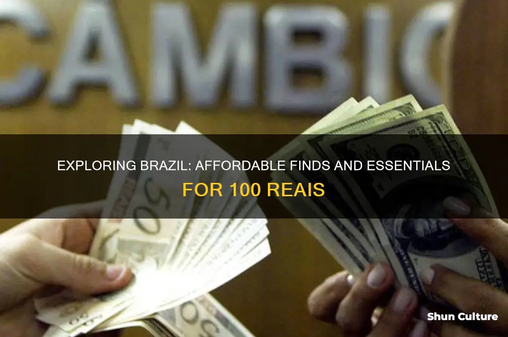 what can you buy with 100 reais in brazil
