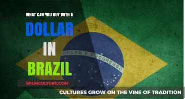 Exploring Brazil's Affordable Treasures: What a Dollar Can Buy You