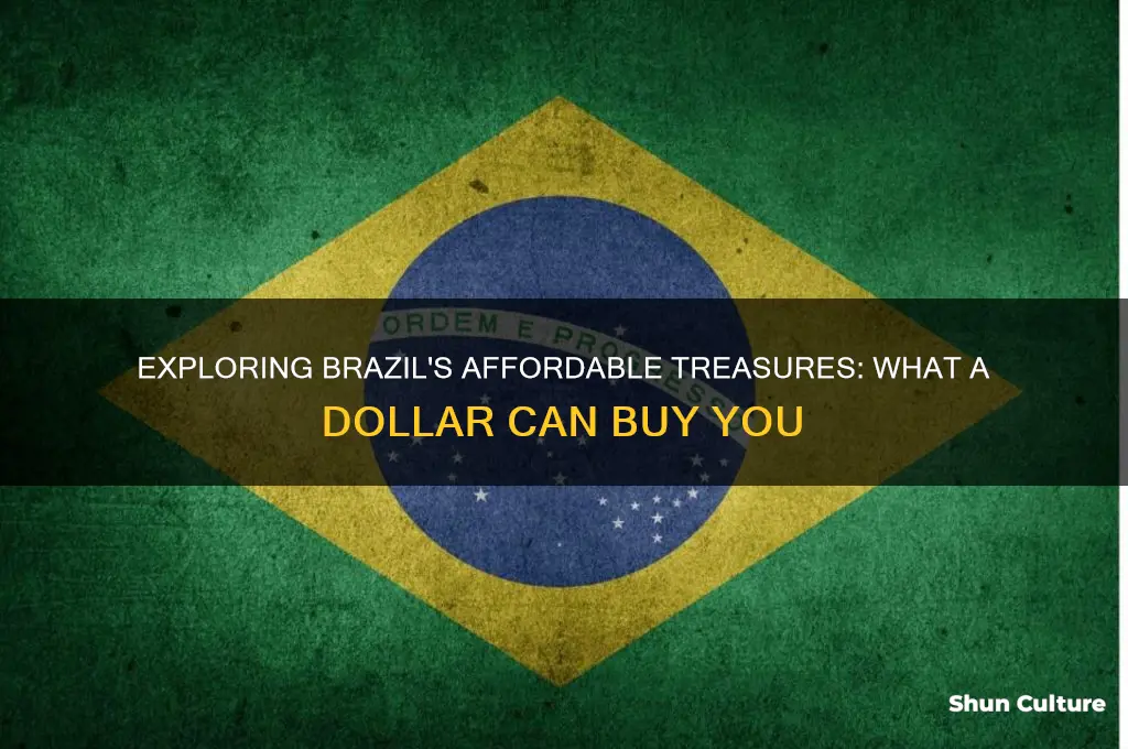 what can you buy with a dollar in brazil