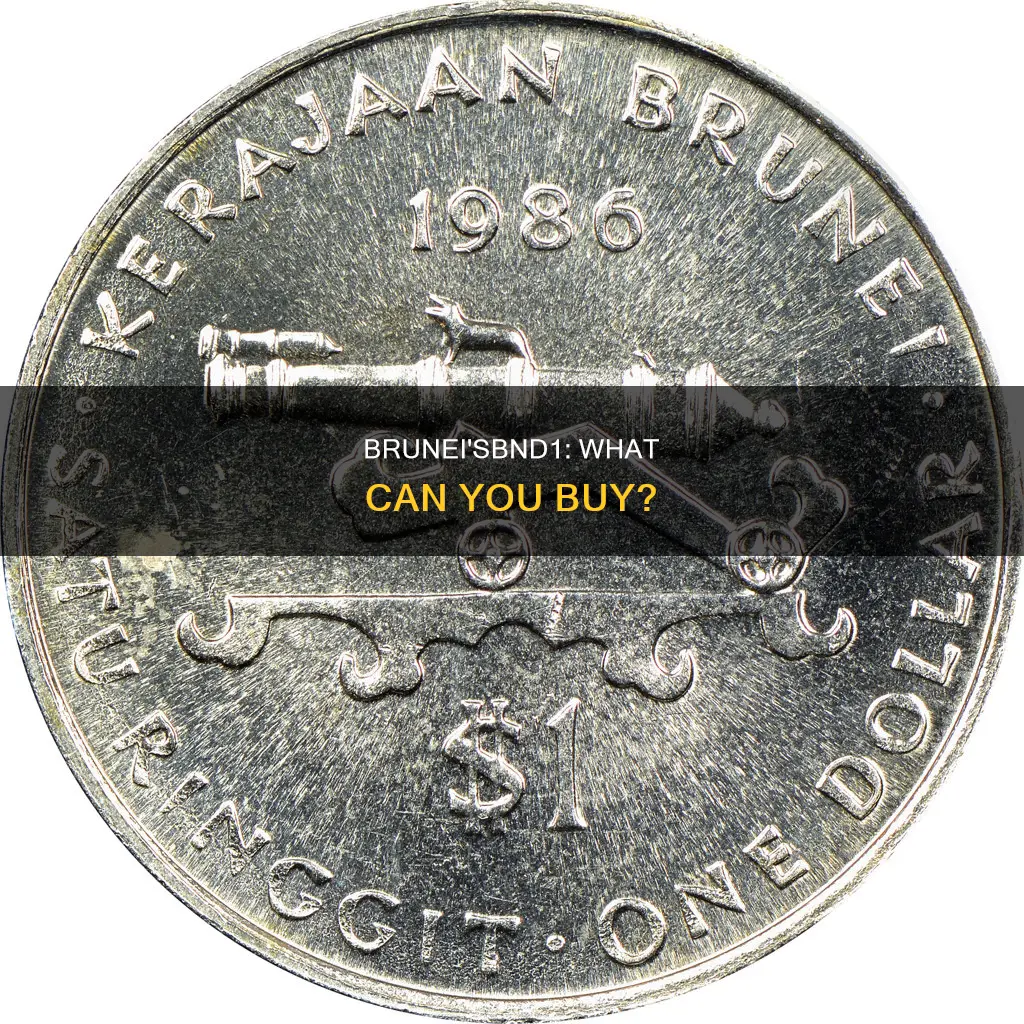 what can you buy with bnd1 brunei