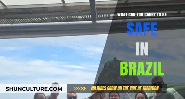 Essential Safety Gear for Travelers: Staying Secure in Brazil