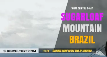 Exploring Sugarloaf Mountain: Top Activities and Adventures in Brazil