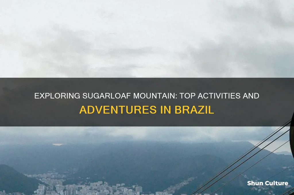 what can you do at sugarloaf mountain brazil