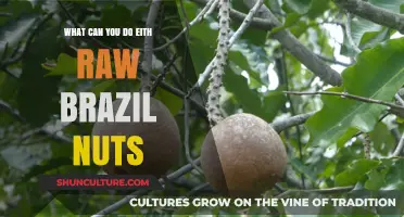 Unlocking the Versatility of Raw Brazil Nuts: Creative Uses and Benefits