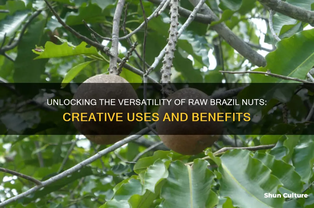 what can you do eith raw brazil nuts