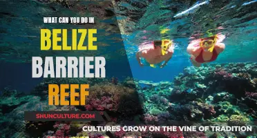 Belize Barrier Reef: An Underwater Adventure Playground