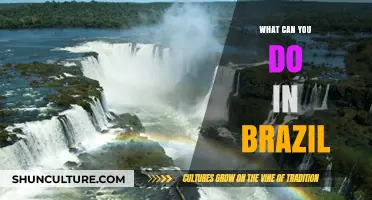 Exploring Brazil: Top Adventures, Culture, and Must-See Attractions