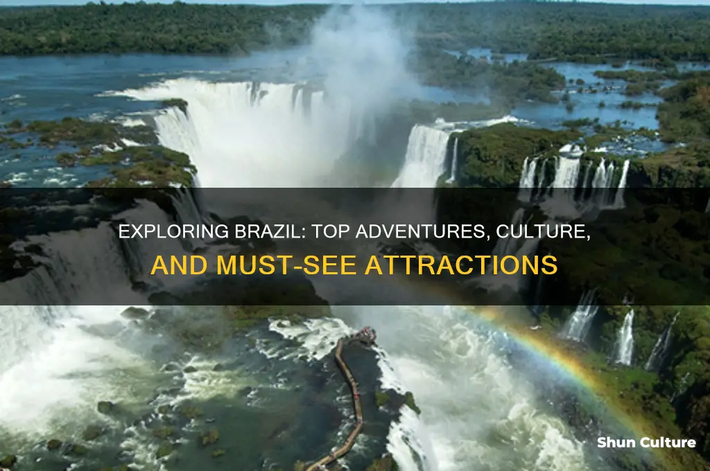 what can you do in brazil