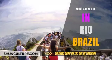 Discover Rio's Magic: Top Adventures and Hidden Gems in Brazil