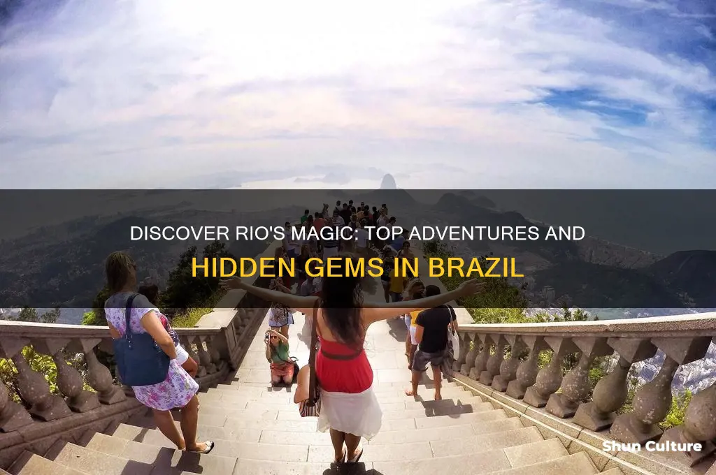 what can you do in rio brazil