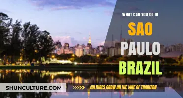 Exploring São Paulo: Top Attractions, Activities, and Hidden Gems