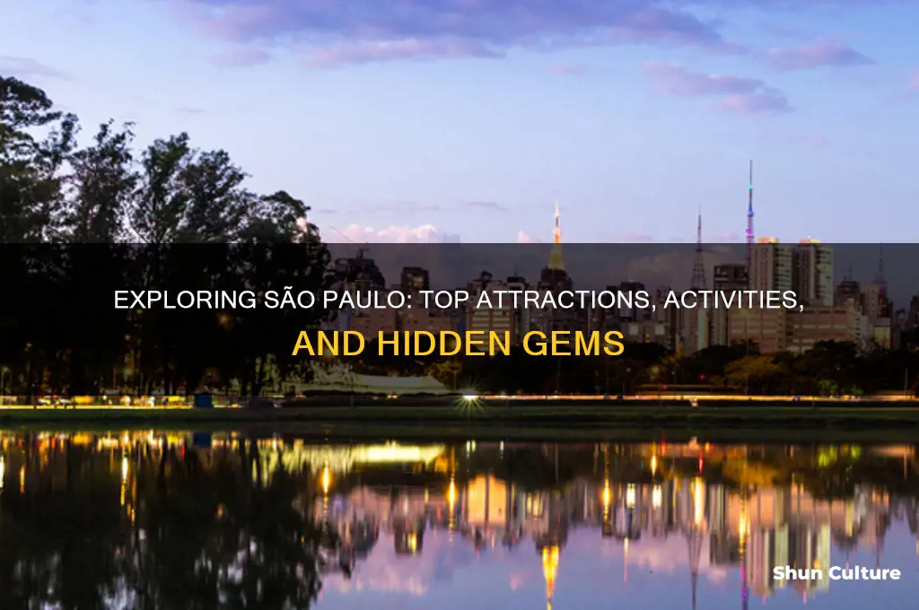 what can you do in sao paulo brazil