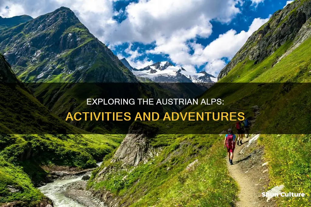 what can you do in the austrian alps