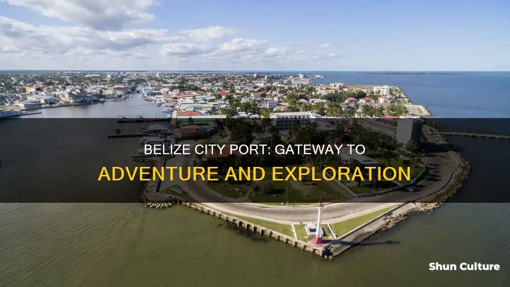 what can you do in the belize city port