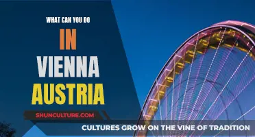 Exploring Vienna: Top Attractions and Activities