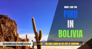 Exploring Bolivia: Discovering Unique Culture and Nature