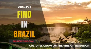 Discover Brazil's Vibrant Culture, Stunning Landscapes, and Unique Treasures