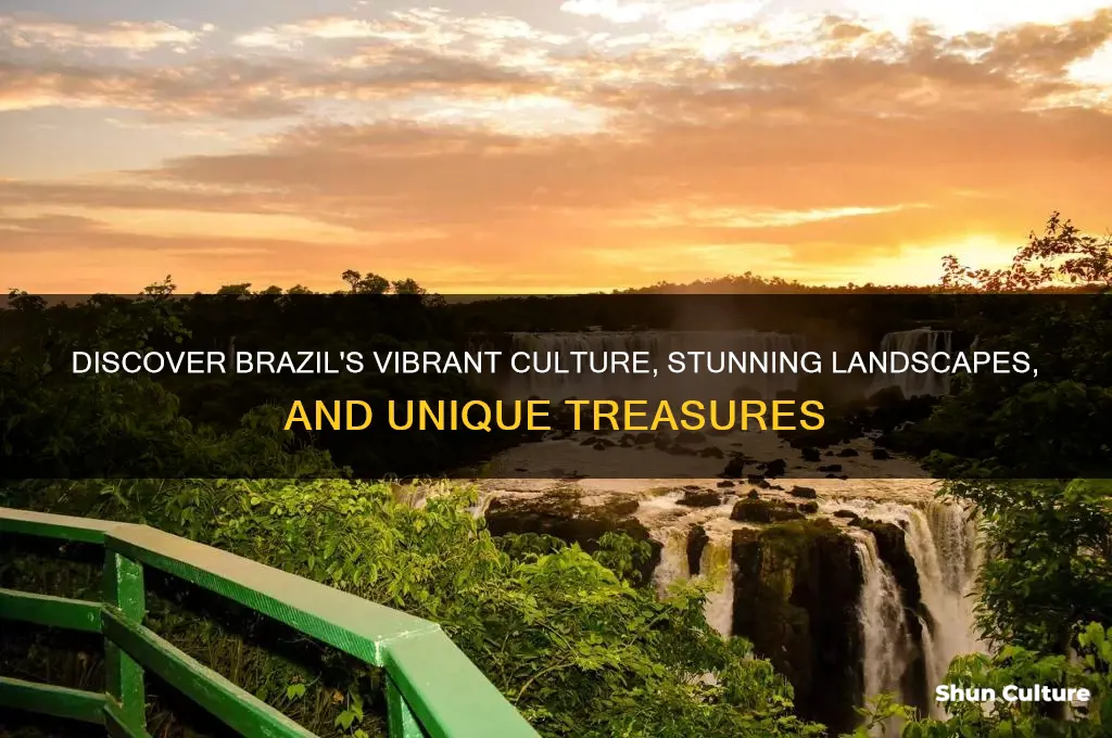 what can you find in brazil