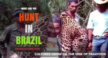 Exploring Brazil's Wildlife: A Guide to Legal Hunting Opportunities