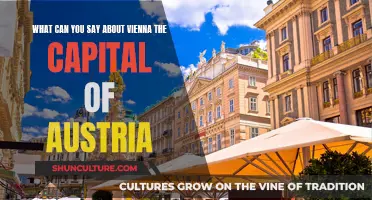 Exploring Vienna: Austria's Captivating Capital