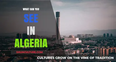 Discover Algeria's Hidden Gems: Culture, Nature, and History Unveiled