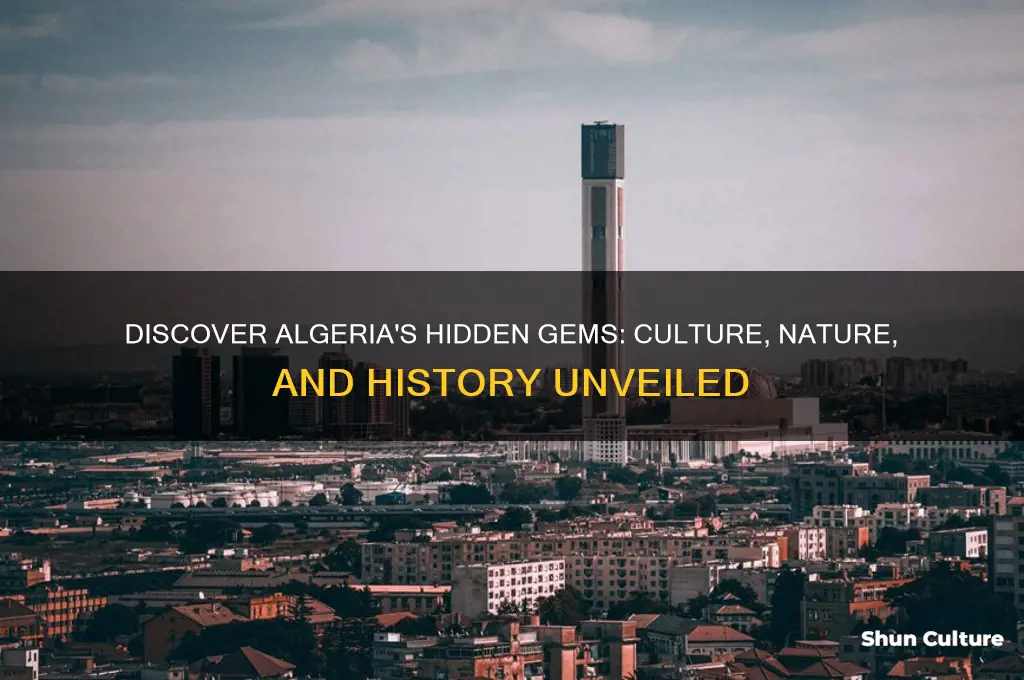 what can you see in algeria