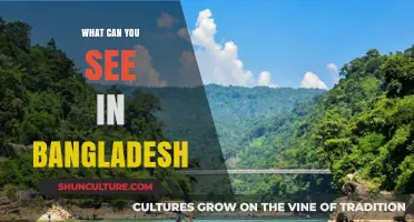 Discover Bangladesh's Hidden Gems: Culture, Nature, and Heritage Unveiled