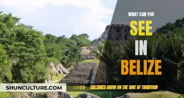 Belize's Natural Wonders: A Journey Through Pristine Ecosystems