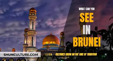 Exploring Brunei: A Cultural and Natural Adventure