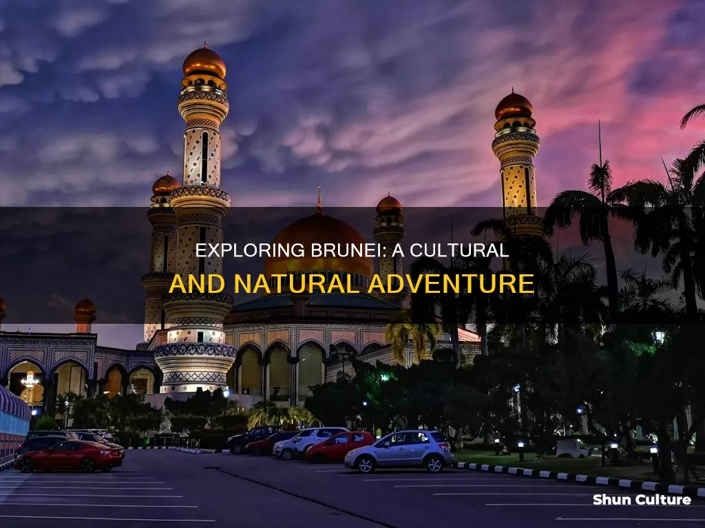 what can you see in brunei