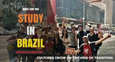 Discover Diverse Academic Opportunities: What Can You Study in Brazil?