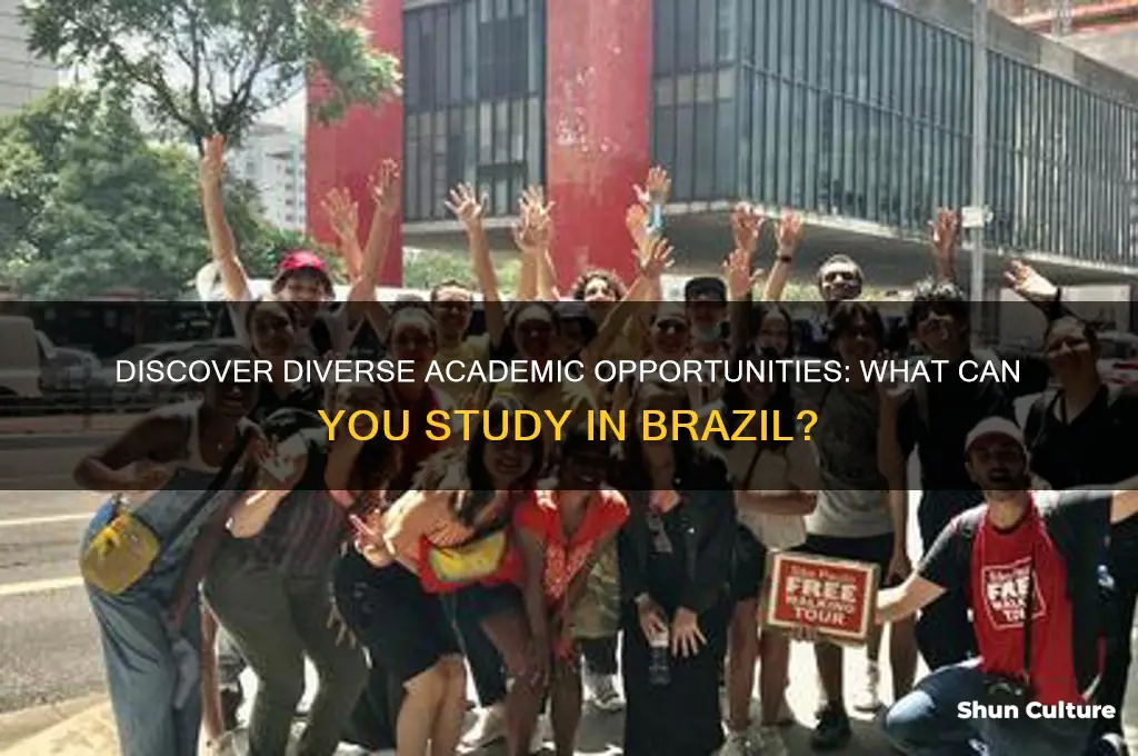 what can you study in brazil