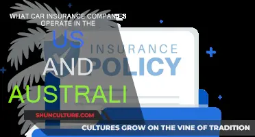 Car Insurance Companies: US and Australia Compared
