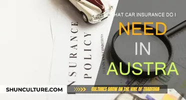 Australian Car Insurance: What You Need to Know