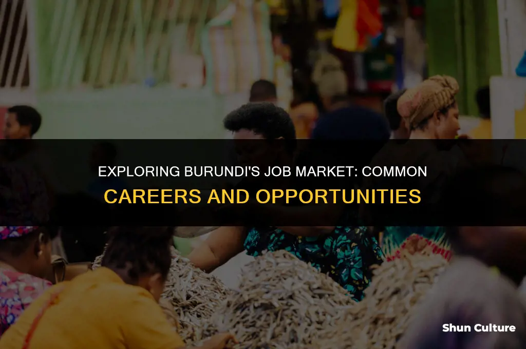 what careers are common in burundi