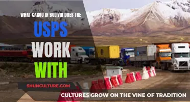 USPS's Work with Bolivian Cargo: What, Why, and How?